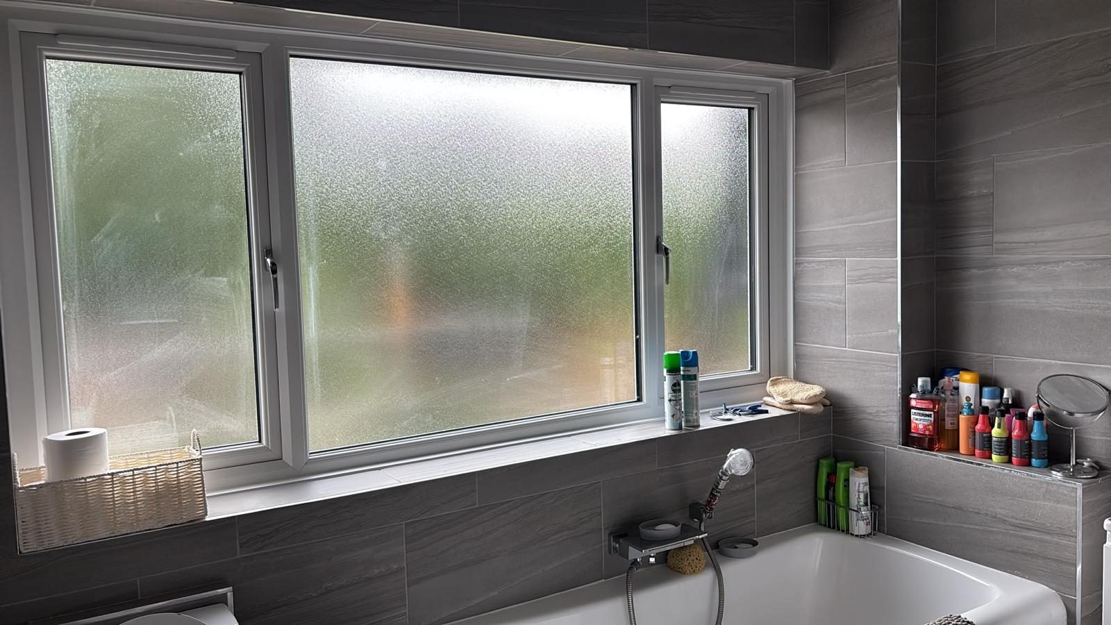 Bathroom window